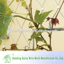 Green Plant Climbing Durable Stainless Steel Mesh Netting
